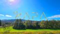 Aussicht auf die Berge und Wälder